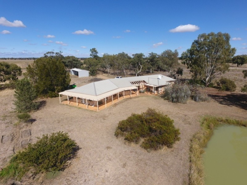 244 Moonee Swamp Road, Deniliquin, NSW 2710 Property Details