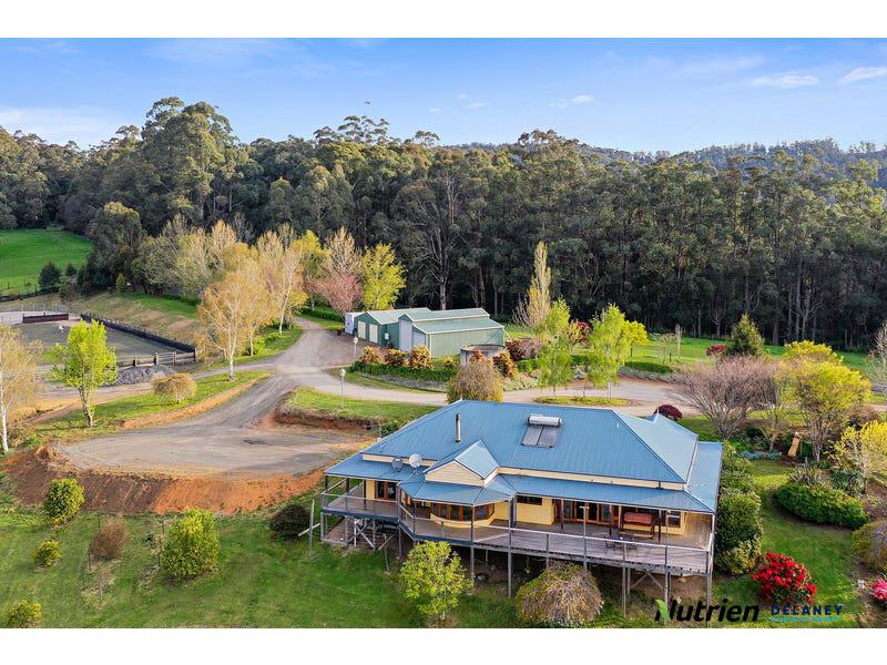 566 NayookPowelltown Road, Piedmont, Vic 3833 Other for Sale