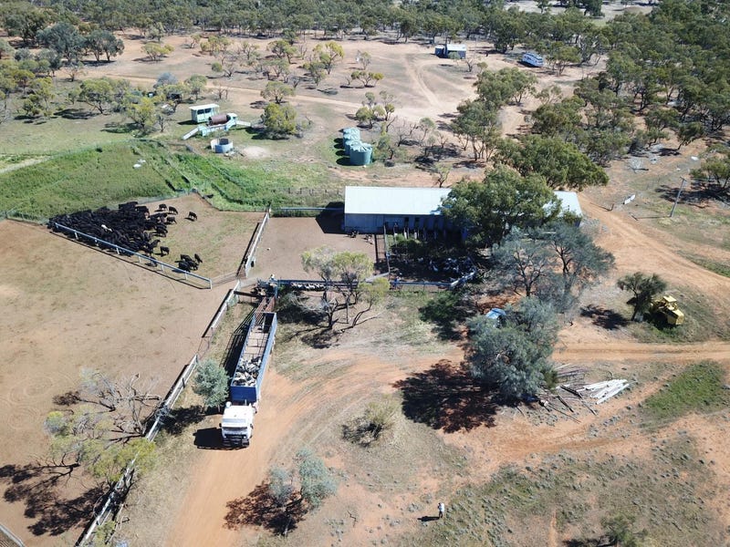 17599 Cobar Ivanhoe Road, Ivanhoe, NSW 2878 Property Details