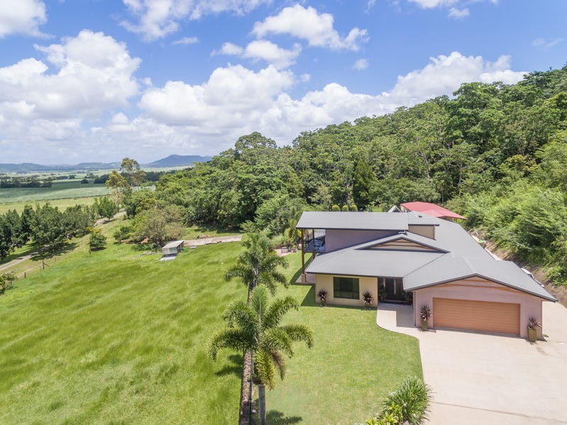217 Wainai Road, Farleigh, QLD 4741