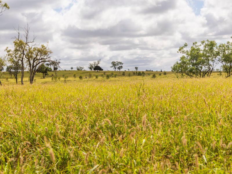 205 Redbank Road, Roma, Qld 4455 - Other for Sale - realestate.com.au