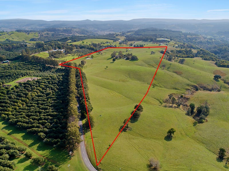 1321 Dunoon Road Dunoon NSW 2480 Livestock for Sale