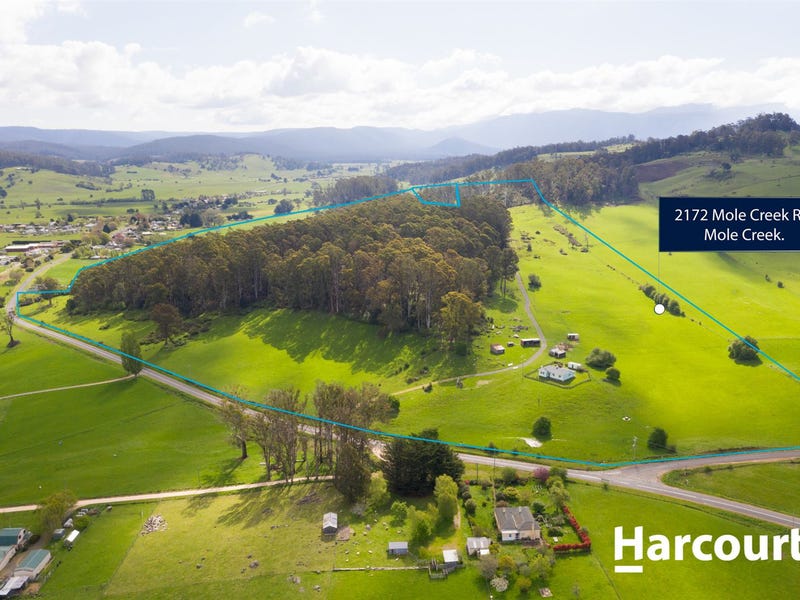 2172 Mole Creek Road, Mole Creek, Tas 7304 Lifestyle for Sale