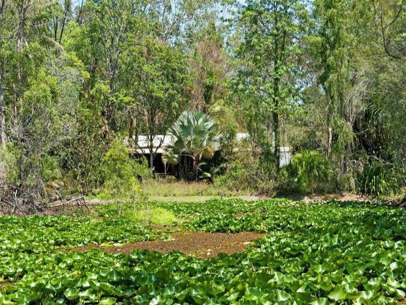 42 46 Violet Road, Greenbank, Qld 4124 Property Details