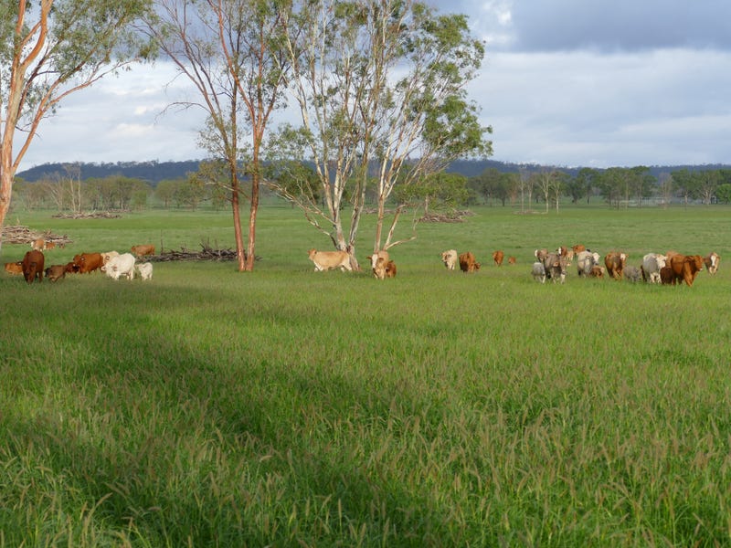 502 Mt Lonsdale Road, Mungallala, Qld 4467 Property Details