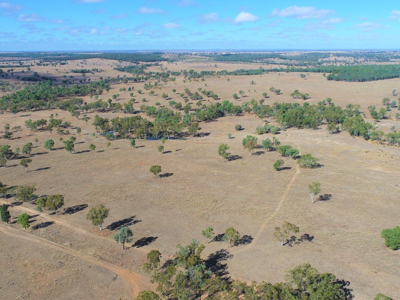 'Omeo' 1183 Westgrove Road, Injune, Qld 4454 Other for Sale