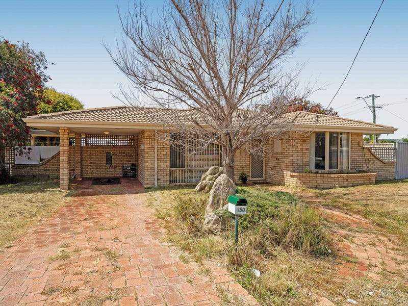 250 Eddystone Avenue, Beldon, WA 6027 Property Details