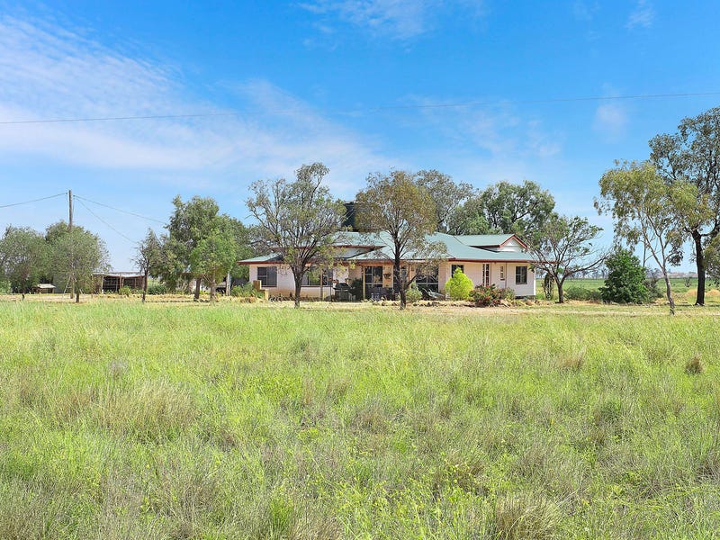 996 Surat Development Road, Parknook, Qld 4417