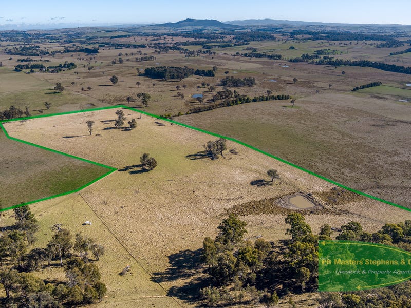 367 Neville Trunkey Road, Neville, NSW 2799 Livestock for Sale