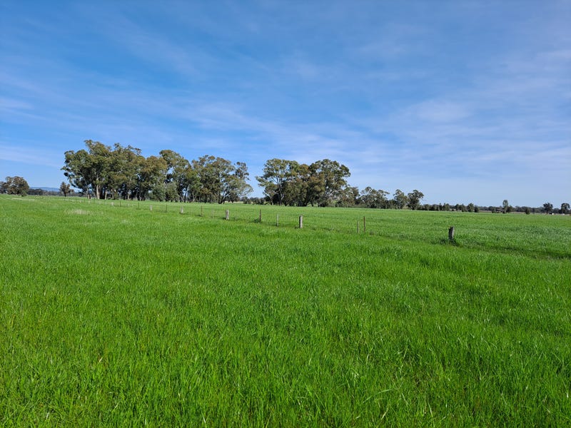 Real Estate & Property for Sale in Benalla Greater Region, VIC Pg. 8