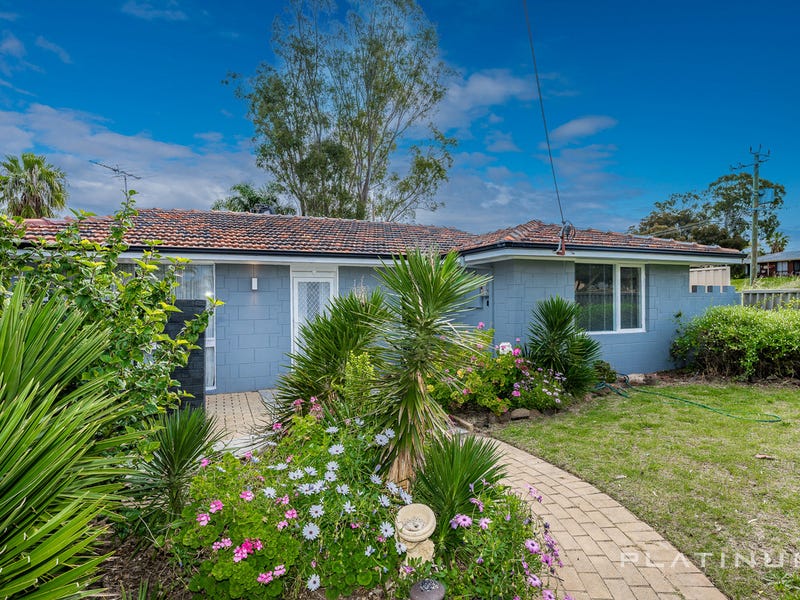 19 Eddystone Avenue Craigie WA 6025 Property Details 19-eddystone-avenue-craigie-wa-6025-property-details