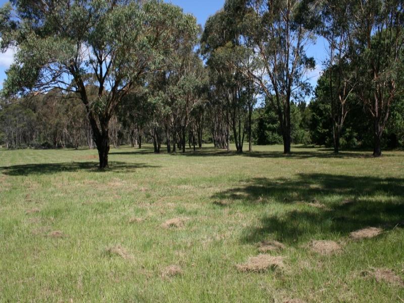 8487 New England Highway, Hampton, QLD 4352