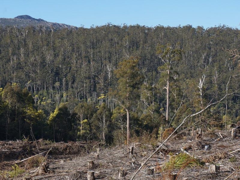 Lot 1 Gads Hill Road, Liena, Tas 7304 Property Details