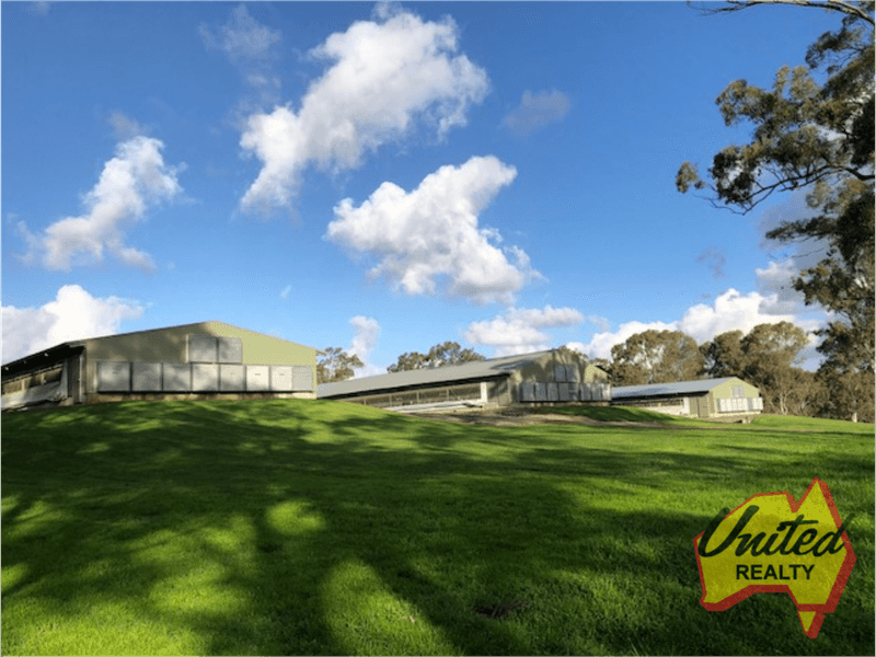 683 Seaham Road, Nelsons Plains, NSW 2324