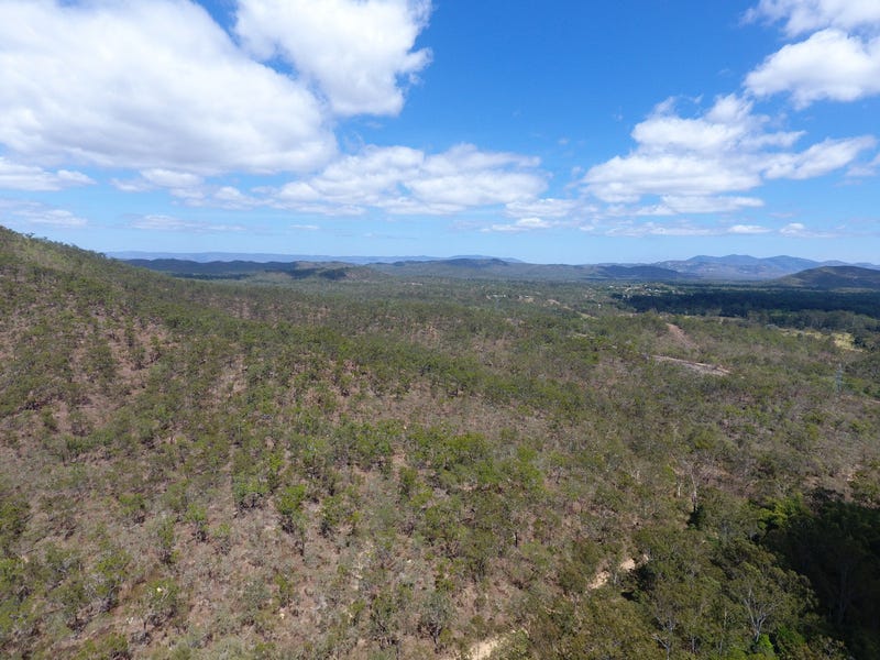 1, 3609 Mulligan Highway, Mount Molloy, Qld 4871 Livestock for Sale