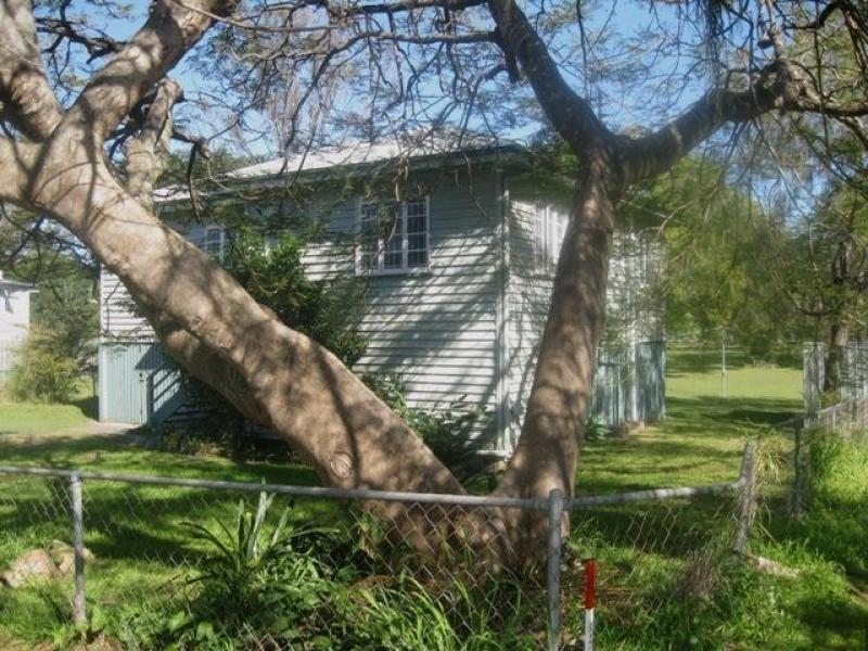 50 Gorman St, Wooloowin, Qld 4030 Property Details