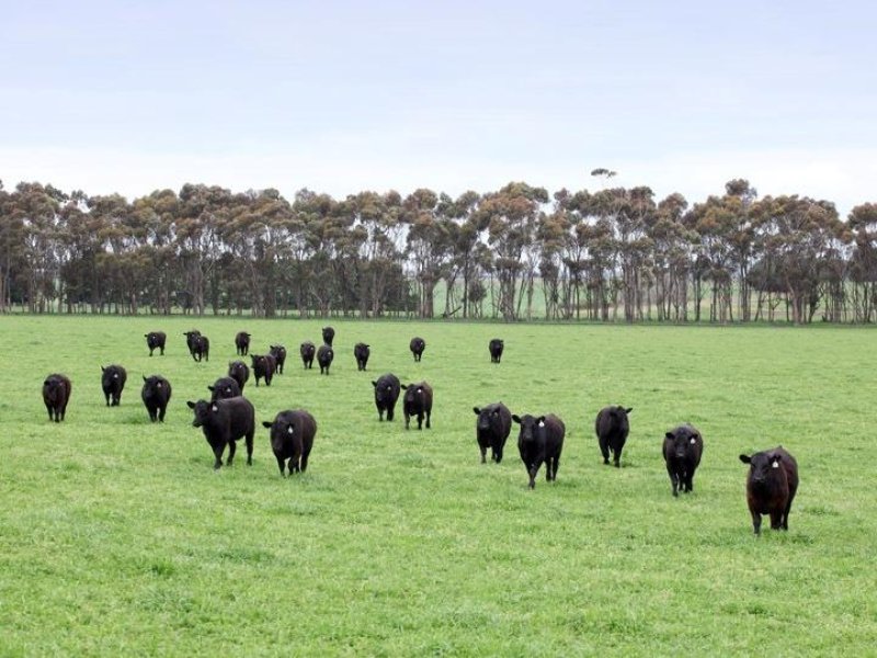 370 Narong Lane, Hexham, Vic 3273 Property Details