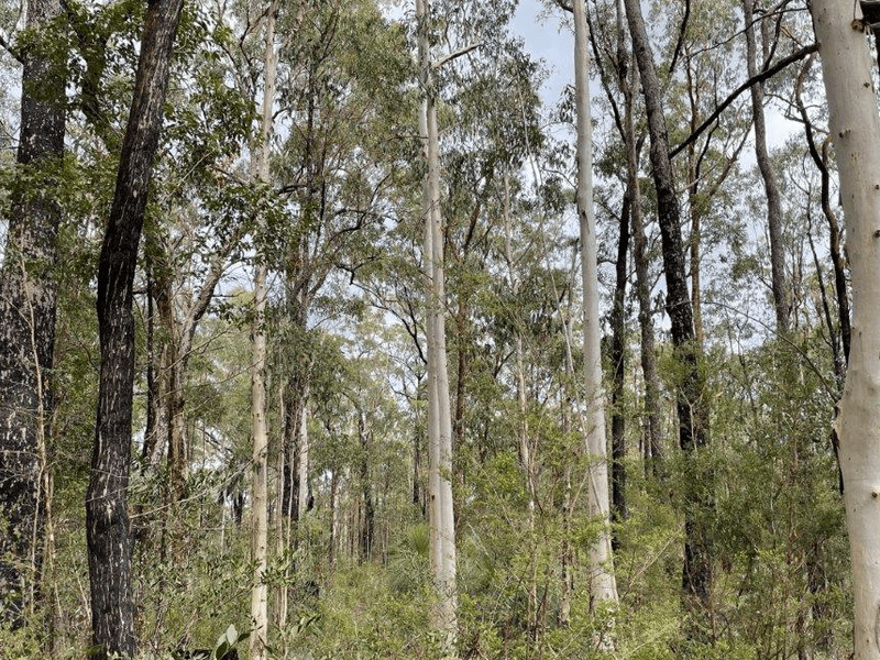 Real Estate & Property for Sale in Lanitza, NSW 2460 (+1 location) Pg