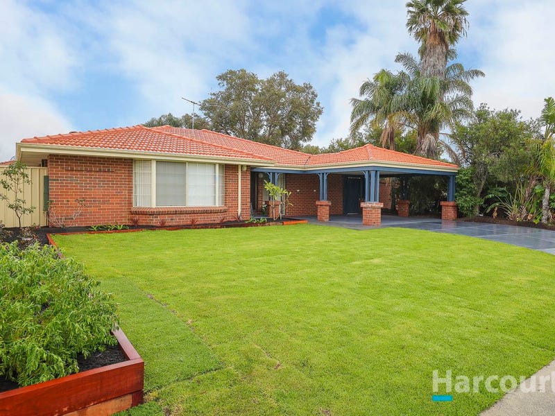 43 Bottlebrush Drive, Morley, WA 6062