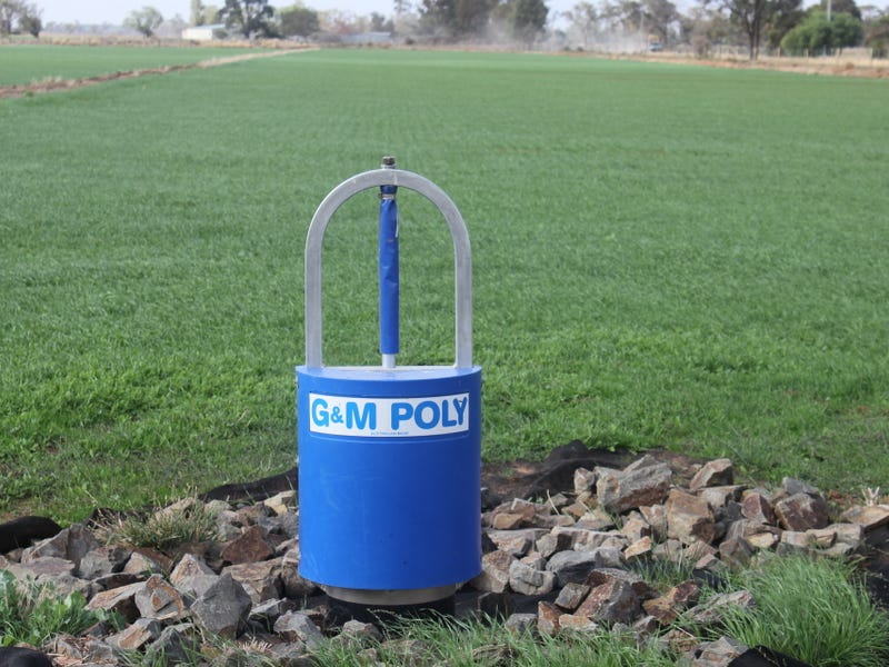 Katunga address available on request Livestock for Sale 700032090