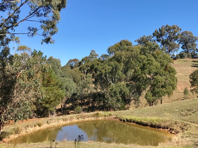 163 Kiernans Road, Bonnie Doon, VIC 3720