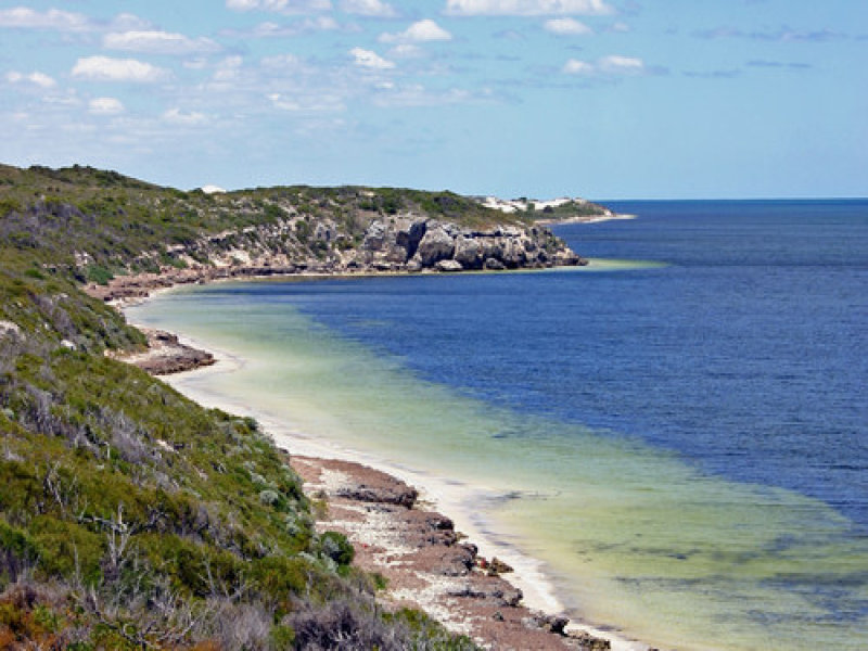 Lot 54 Indian Ocean Drive Dongara WA 6525 Other for Sale 7310213