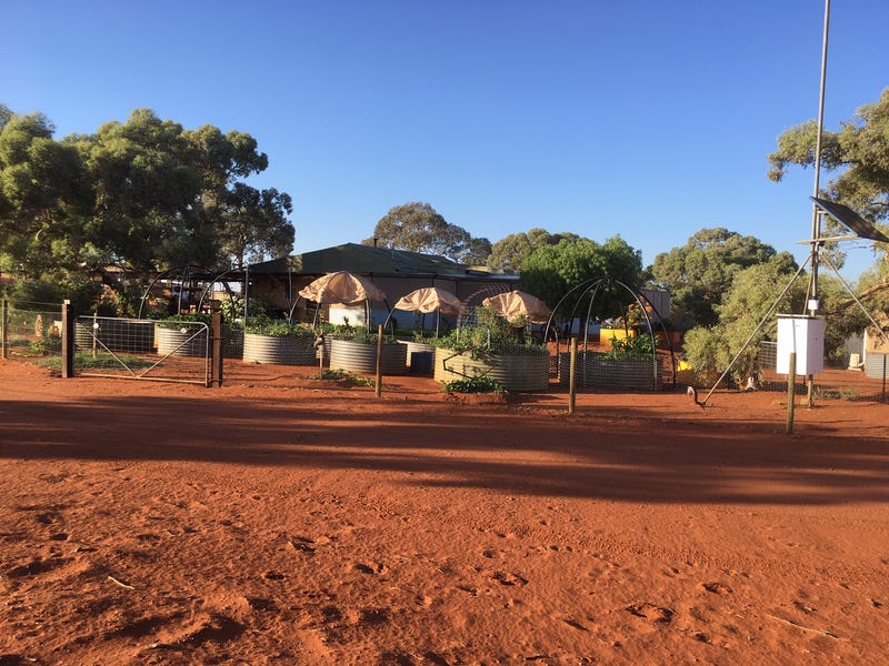 'Barrambie Station', Sandstone, WA 6639 Property Details