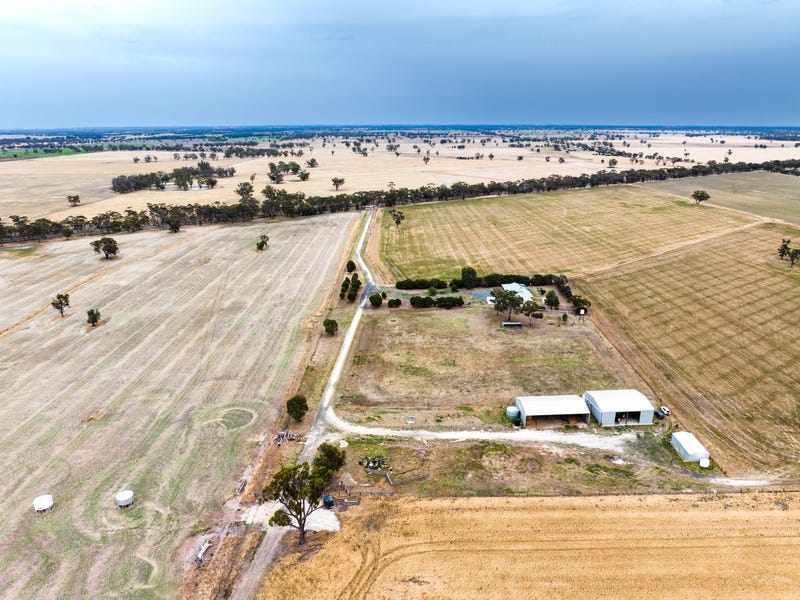 1155 Frances Road, Pooginagoric, SA 5268 - Cropping for Sale ...