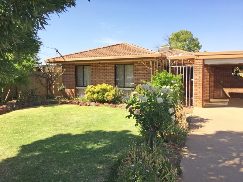 17 William Street, Gol Gol, NSW 2738