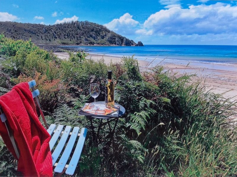 149 Irby Boulevard, Sisters Beach, TAS 7321