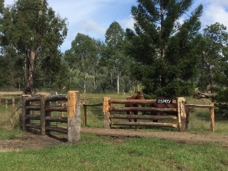 411 Eden Creek Road, Wyneden, NSW 2474