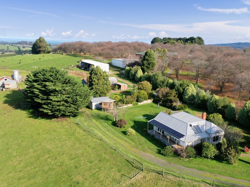 1443 Neerim East Road, Neerim, VIC 3831