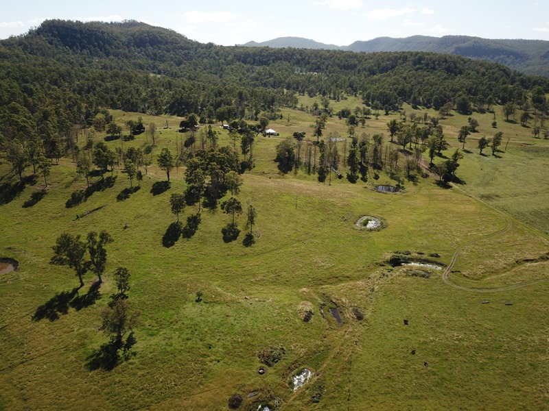 Real Estate & Property for Sale in Coaldale, NSW 2460