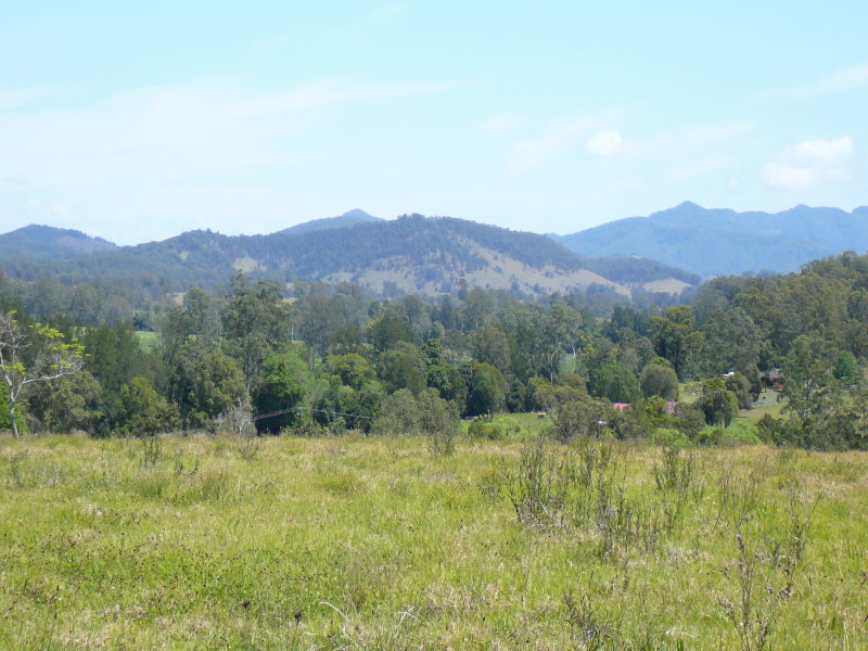 441 Bulga Road, Wingham, NSW 2429