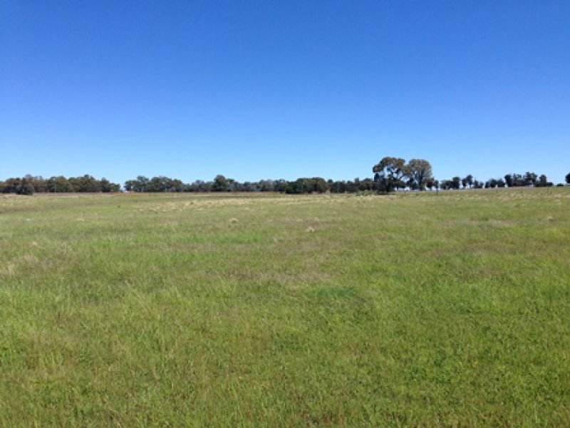 29 Maclura Drive, Marulan, NSW 2579