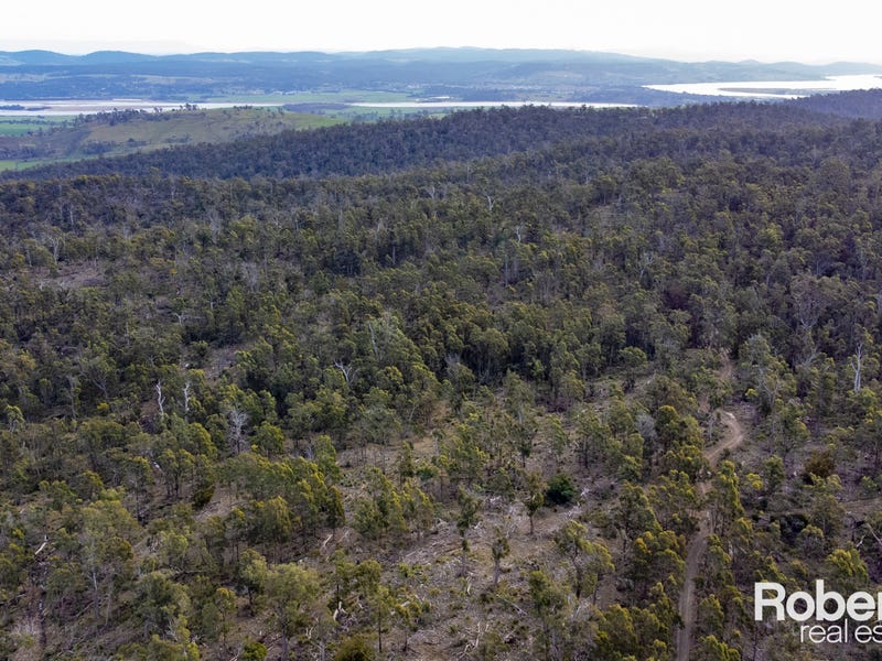 606 Lilydale Road, Underwood, Tas 7268 Other for Sale