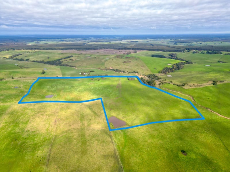 MerinoGrassdale Road, Merino, Vic 3310 Livestock for Sale