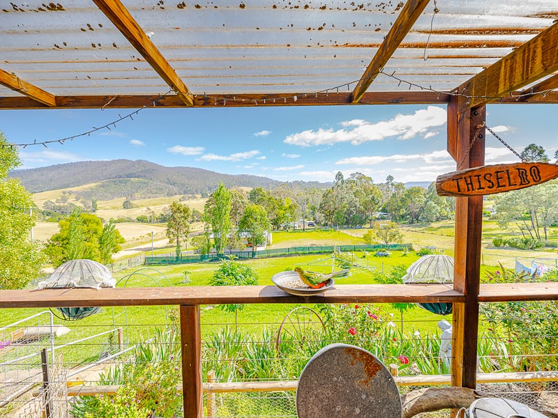 50 Monaro Street, Wyndham, NSW 2550