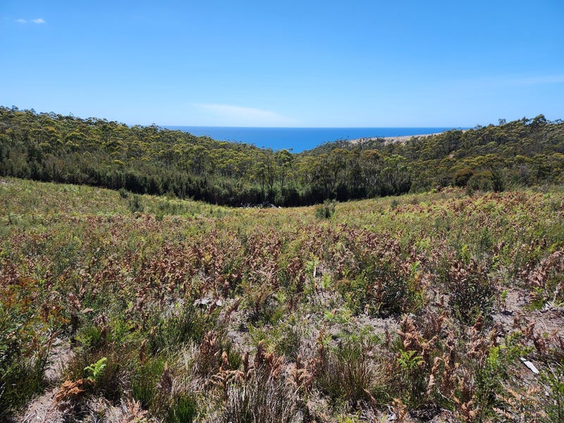 Land for Sale in TAS Pg. 13