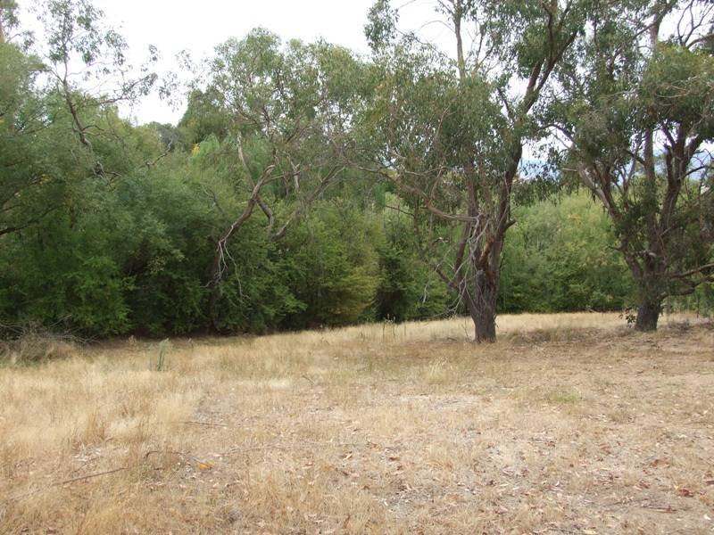 36 Isaacs Avenue, Yackandandah, VIC 3749