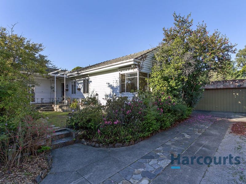19 Pascoe Avenue Croydon Vic 3136 Realestate Com Au