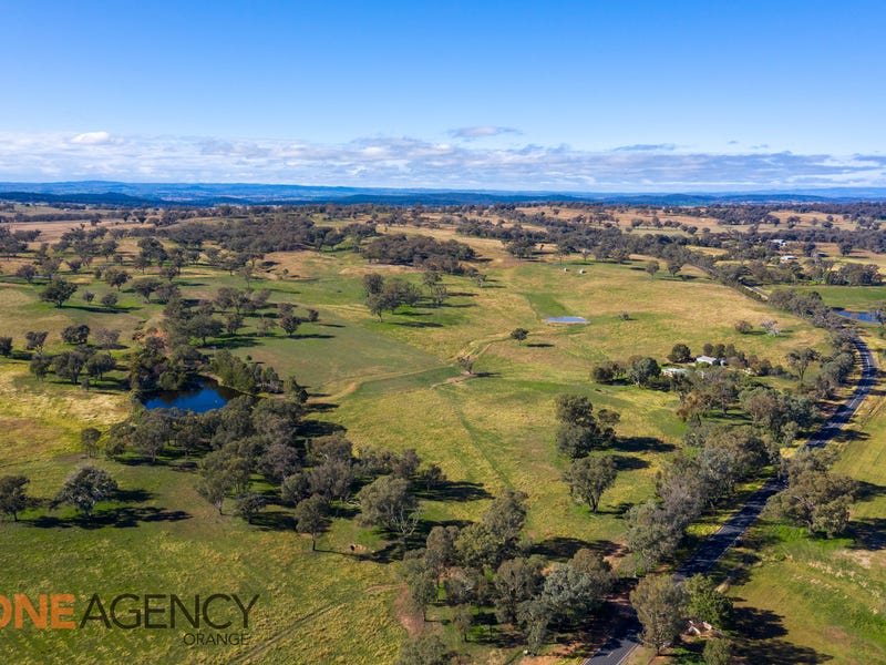 1856 Banjo Paterson Way, Molong, NSW 2866 - Property Details