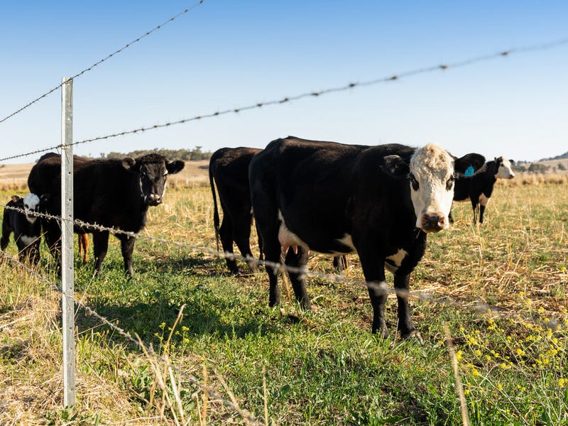 Rural properties for Sale in Esk, QLD 4312 (+2 locations) Pg. 3