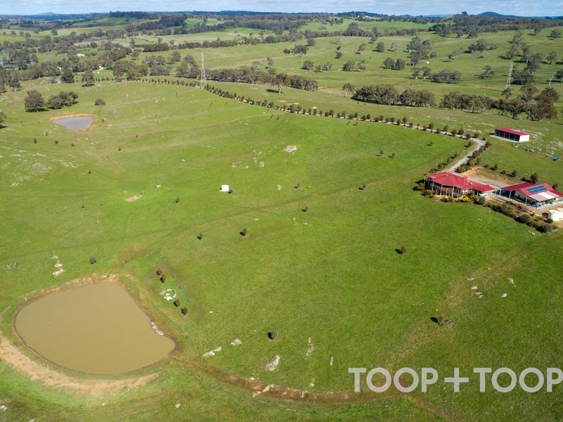 Real Estate for Sale in Riverland, SA Pg. 3