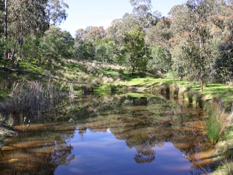 Harrys Creek Road, Strathbogie, Vic 3666 - Property Details