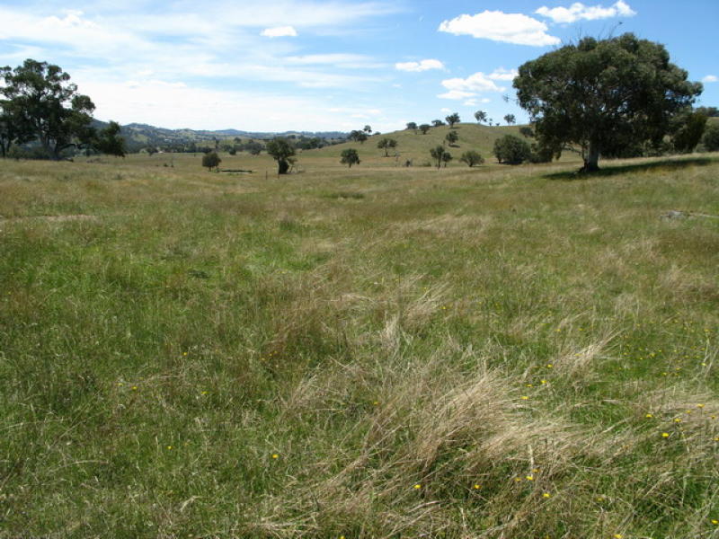 Property 7234958, Mudgee, NSW 2850 Property Details