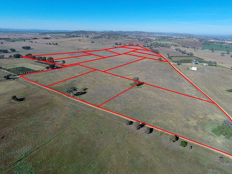 77 Grimshaw Lane, Gulgong, NSW 2852 Property Details