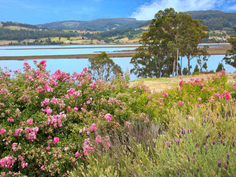 1686 Coast Road, Cradoc, TAS 7109