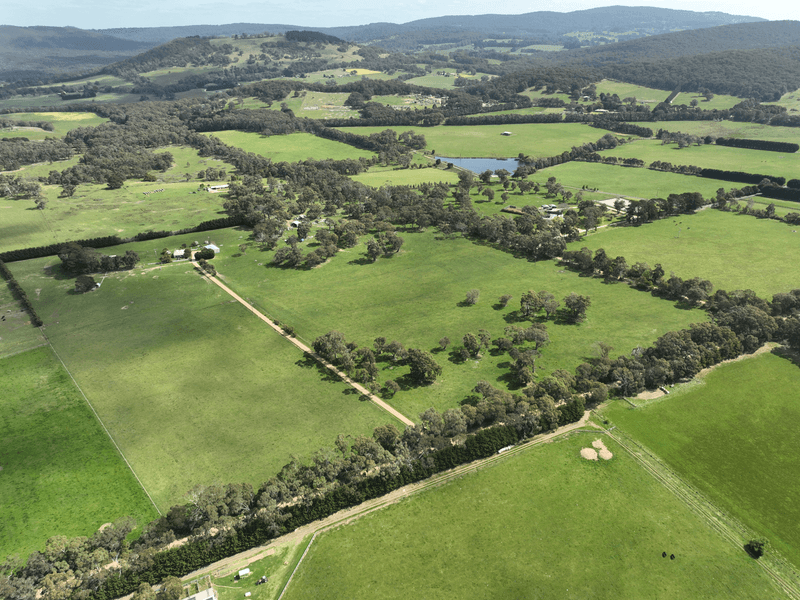 427 Black Range Road, Romsey, VIC 3434