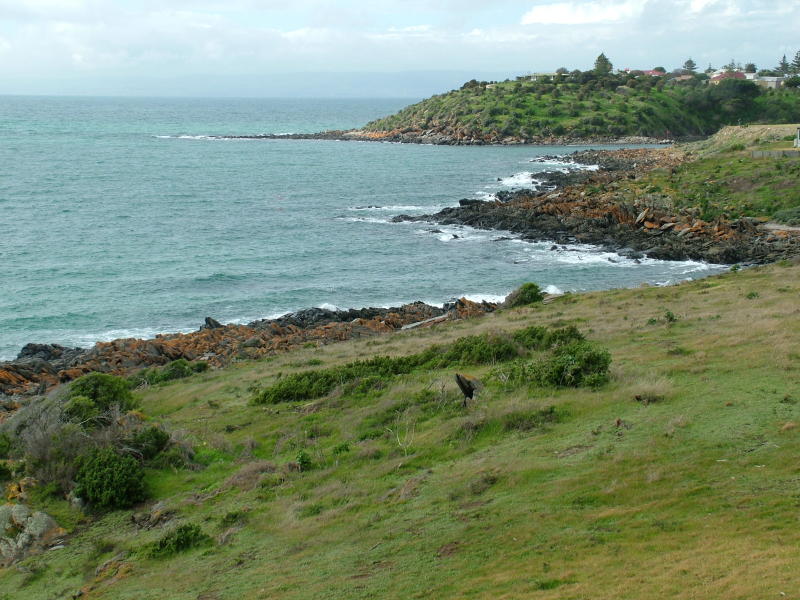 A NEW LISTING AT PENNESHAW, Penneshaw, SA 5222 Property Details